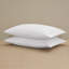 Pillow Case