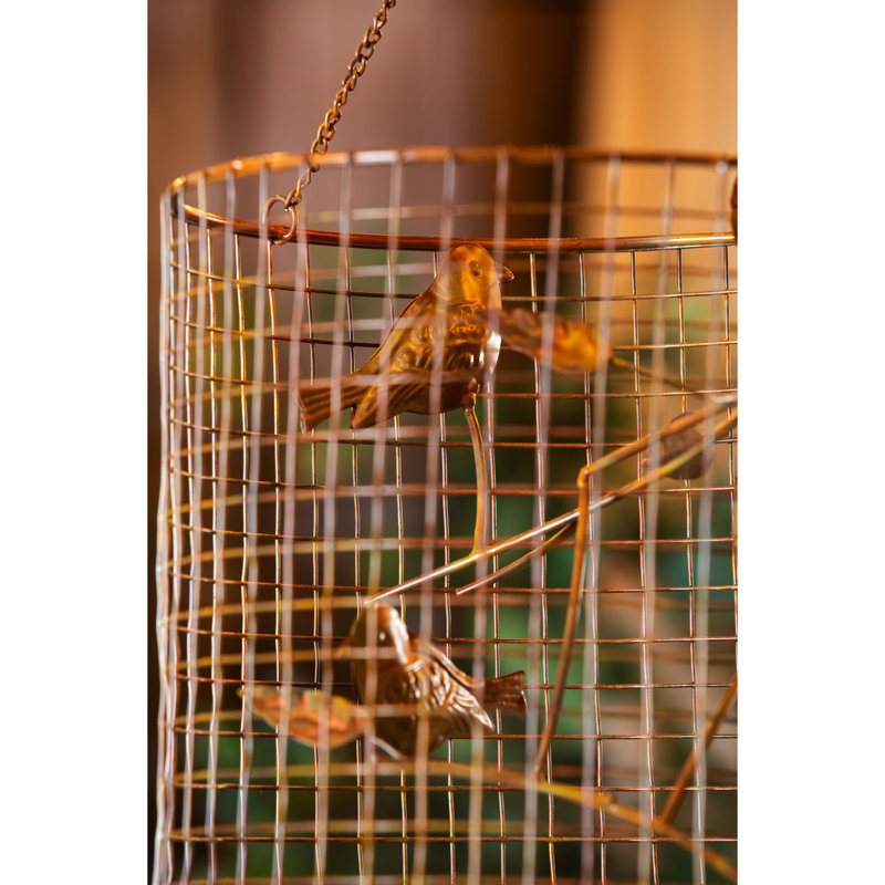 Cloche de jardin