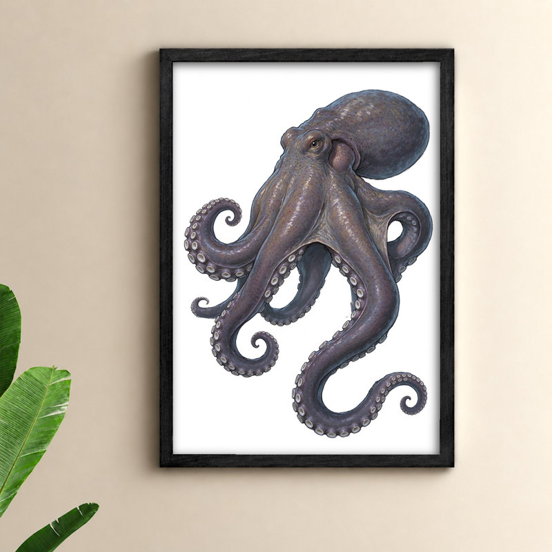 «Octopus Is Shown in This Dessin», art mural sur toile encadré noir, H 37 po x l 25 po
