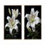 Lys noir et blanc exquis «Black White Lily Exquis» - 2 pièces-16661196-16661197