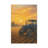 Aaroon Single Picture Frame Print on Canvas-875708198