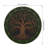 Stepping Stone - Tree of Life