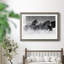 Winter Roundup I - Photographie avec cadre-1226318055-1226318060