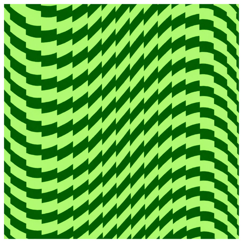 Couvertures vertes à motif d'illusion optique, L 60 po x H 80 po