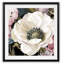 Anemone Study II - reproduction de cadre photo-503309514