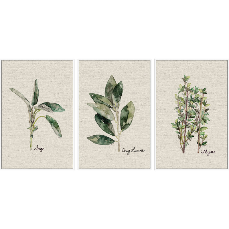 Herb Trio II Triptych by Rachel Byler - 3 Piece Floater Frame Set on Canvas, 60" H x 40" W x 1.5" L