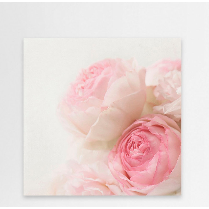 Roses I 1 Piece Wrapped Canvas Wall Art, 45cm H x 45cm W x 3.81cm D