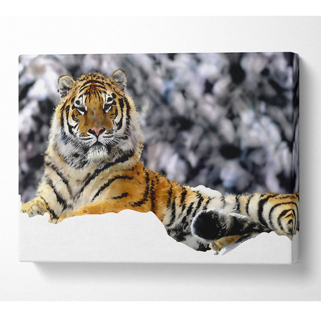 Tiger im Winter - Kunstdrucke auf Leinwand