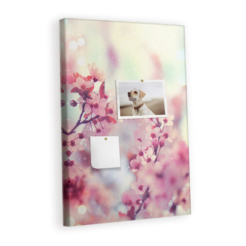 Wall Mounted Cork Board