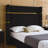 Aspen Upholstered Low Profile Platform Bed-609741700-627037357