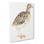 A Quail by Johan Teyler - Wrapped Canvas-55368099