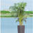 30 in Tall Large Flower Pots Planter with Self-Watering Drainage Holes&Inner Trays Indoor Outdoor Plant Pot with Drain Holes, Water Level Monitor, Inner Bucket for Garden, Patio, Porch, Backyard,Brown-1092659521-1092659524-1092659578
