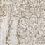 Shag Area Rug-14994609