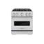 ZLINE 30 in. Classic Gas Range with DuoPro Cooktop and Convection Oven in Black Stainless Steel-857920600-857920602