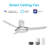 Daisy 52'' Smart Ceiling Fan With Remote, Light Kit Included, Works With Google Assistant And Amazon Alexa,Siri Shortcut.
