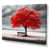 Wrapped Canvas