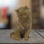 Joaquin CAT 25cm Carved Wood Effect