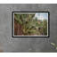 I Was Here Print
