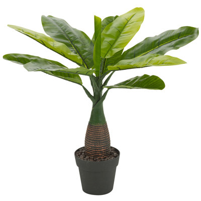 40cm Palm Plant in Pot