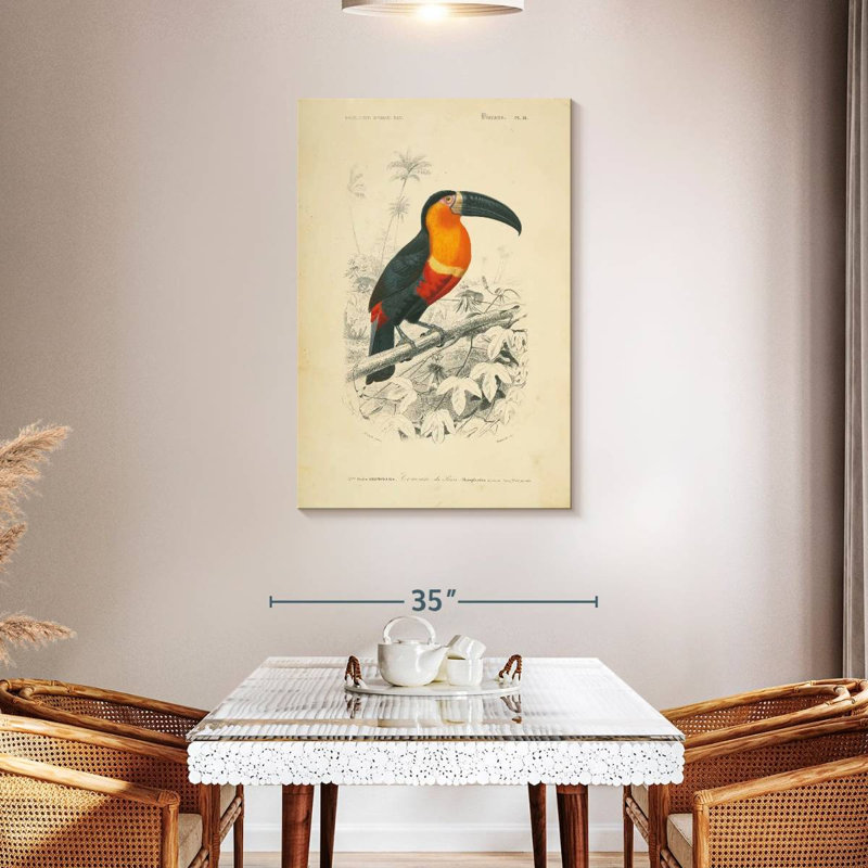 Brampt Toucan Du Para, 45" H x 30" W
