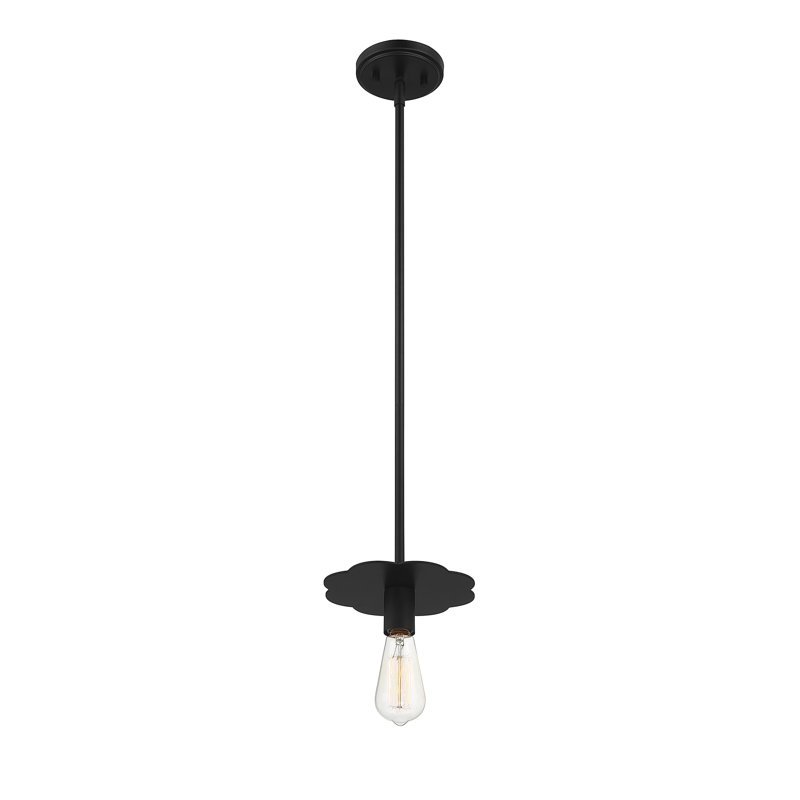 Luminaire suspendu à 1 lumière Thane, Noir mat
