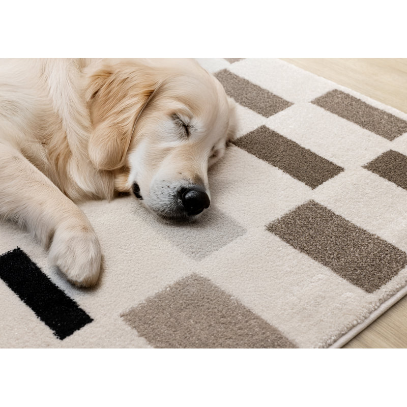 Tapis géométrique à motif géométrique crème et brun brun, Rectangle 7 pi 10 po x 10 pi 6 po