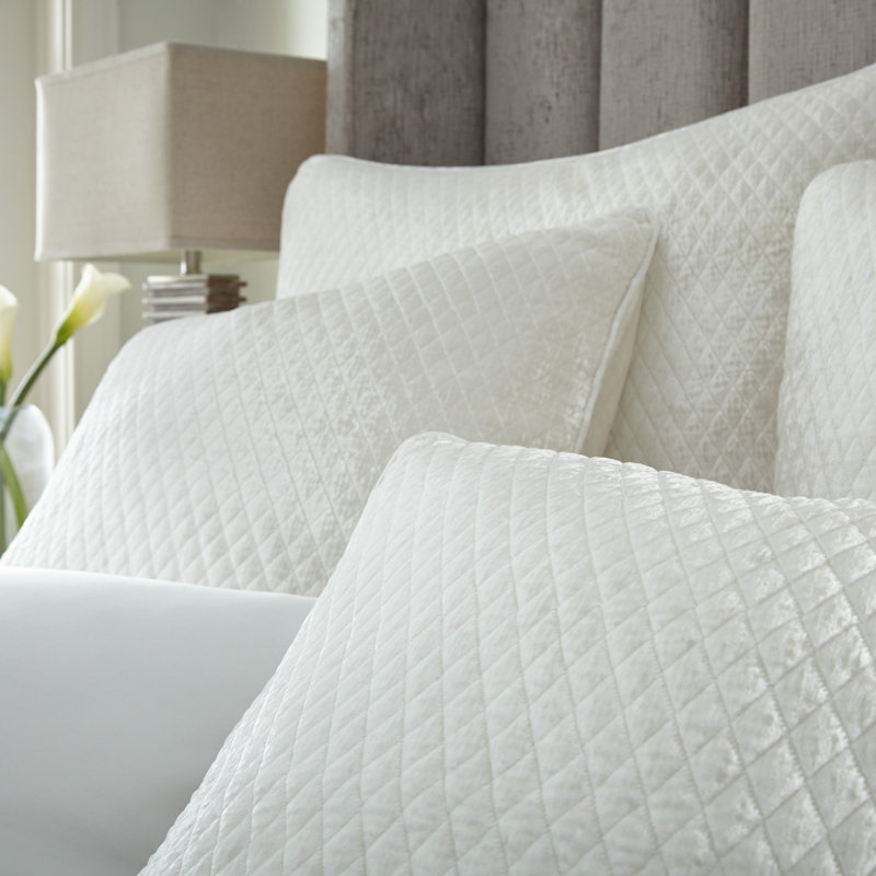 Enzo Sham, Ivory