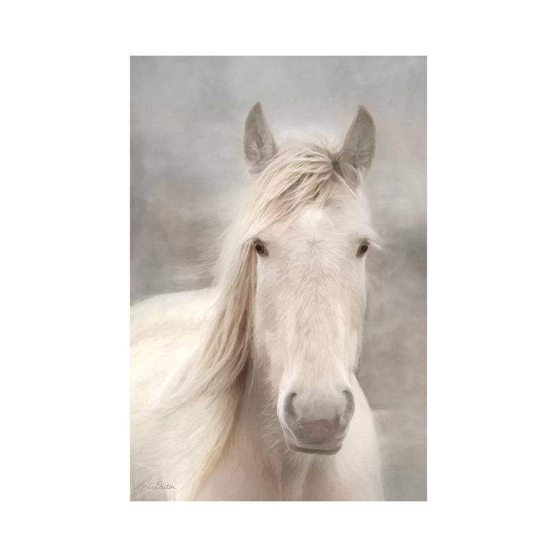 White Beauty I by Lori Deiter - Wrapped Canvas Print, 20.32 cm H x 30.48 cm W