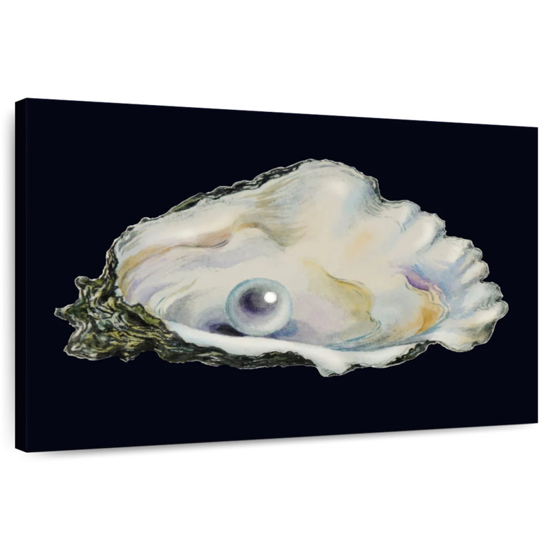 Brampt Pearl In Shell, 16" H x 24" W
