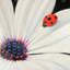 Imprimé marguerite blanche et coccinelle | Décoration de chambre à coucher insecte-1937115444-1937115440