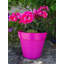 Bojorquez Pot Planter-317792791-317792788