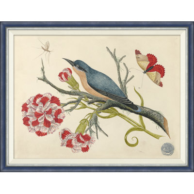 18e siècle, Bouquets de fleurs avec oiseaux IV - peinture à cadre unique
