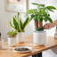 HDHPOT Ceramic Pot Planter-1607730066