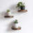 3 Pieces Solid Wood Round Decorative Wall & Display Shelf For Plants