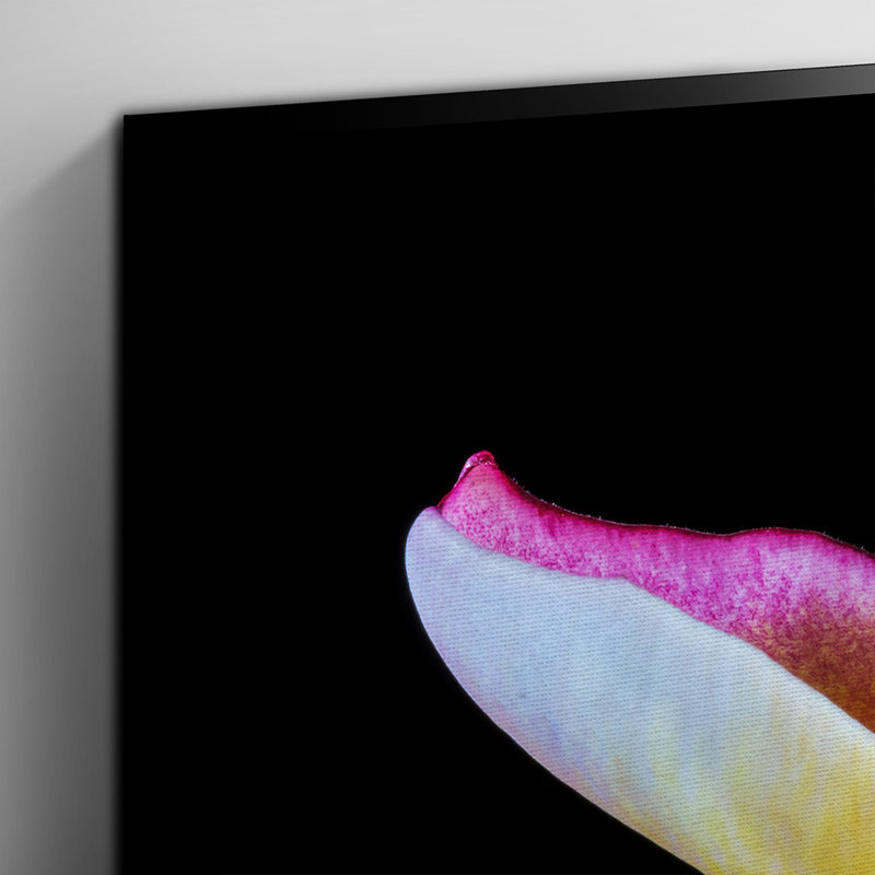 Flower Frangipani Photographic - Wrapped Canvas, 50cm H x 76cm W