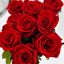 Vraies roses rouges préservées de 20 pouces: longues tiges roses qui durent éternellement - ensemble de 10-1971217539