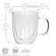 Rink Drink Double-Walled Glass Coffee Cups