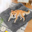 Coussin de siège pour animal de compagnie-863325965-863325963