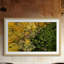 Karolis Janulis - Single Picture Frame Print-1556653764