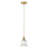 1-Copper colored transparent glass dimmable pendant light