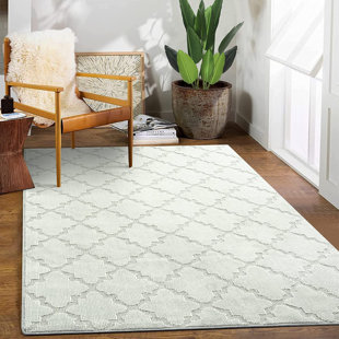 ZACOO Machine Braided Polyester Light Gray Machine Washable Rug