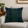 Indoor and Outdoor Throw Pillow