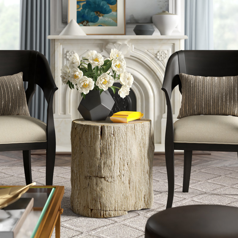 Petrified Solid Wood Tree Stump End Table