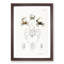 Crabs & Sea Creatures PL. 8 by J.E. De Kay - Framed Print-55621197-55621201