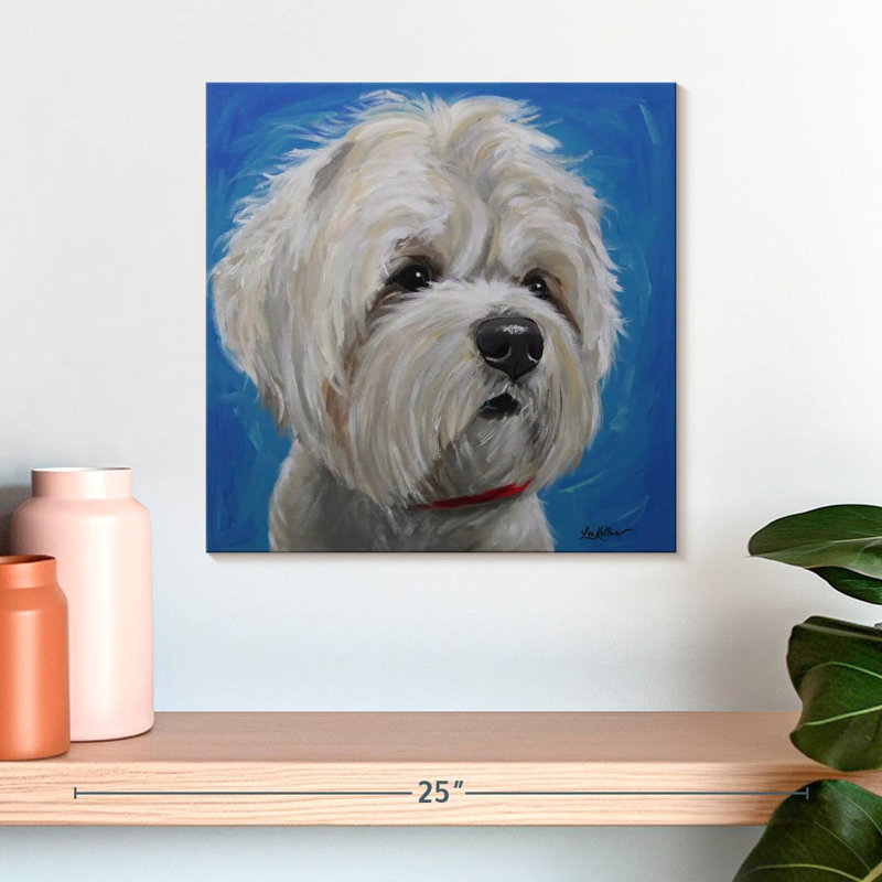 Corbeau maltais Shih Tzu Pipa, H 16 po x l 16 po