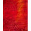 Fine Vibrance One-of-a-Kind 18' 10" X 12' 1" Hand Knotted Area Rug