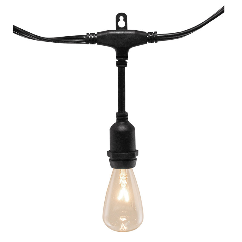 Kennerson Electric Commercial Grade String Lights with 12 Edison Bulbs