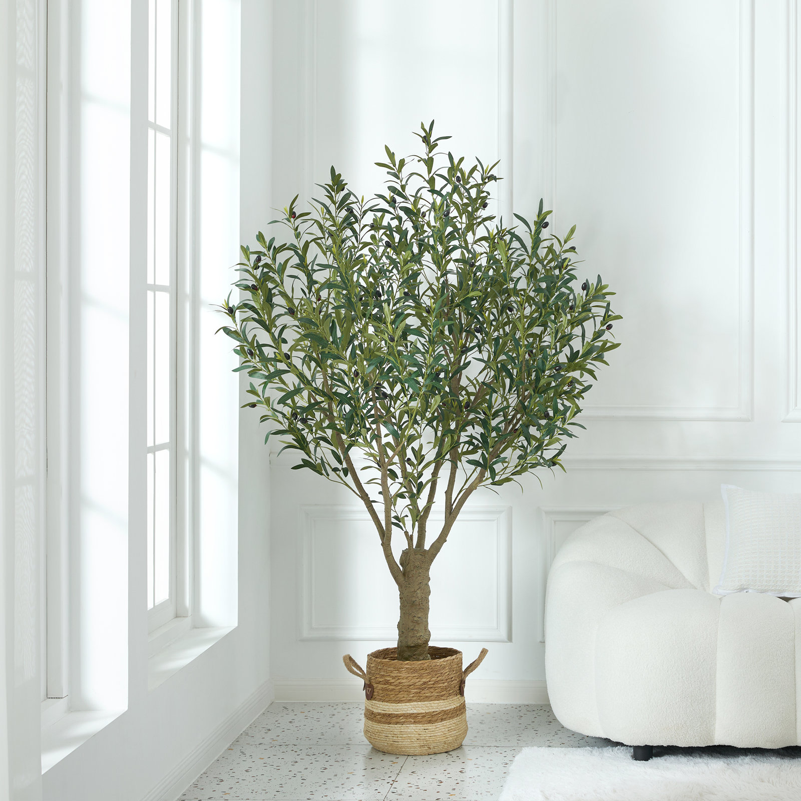 Aldis Olive Tree in Pot, 72" H x 45" W x 45" D