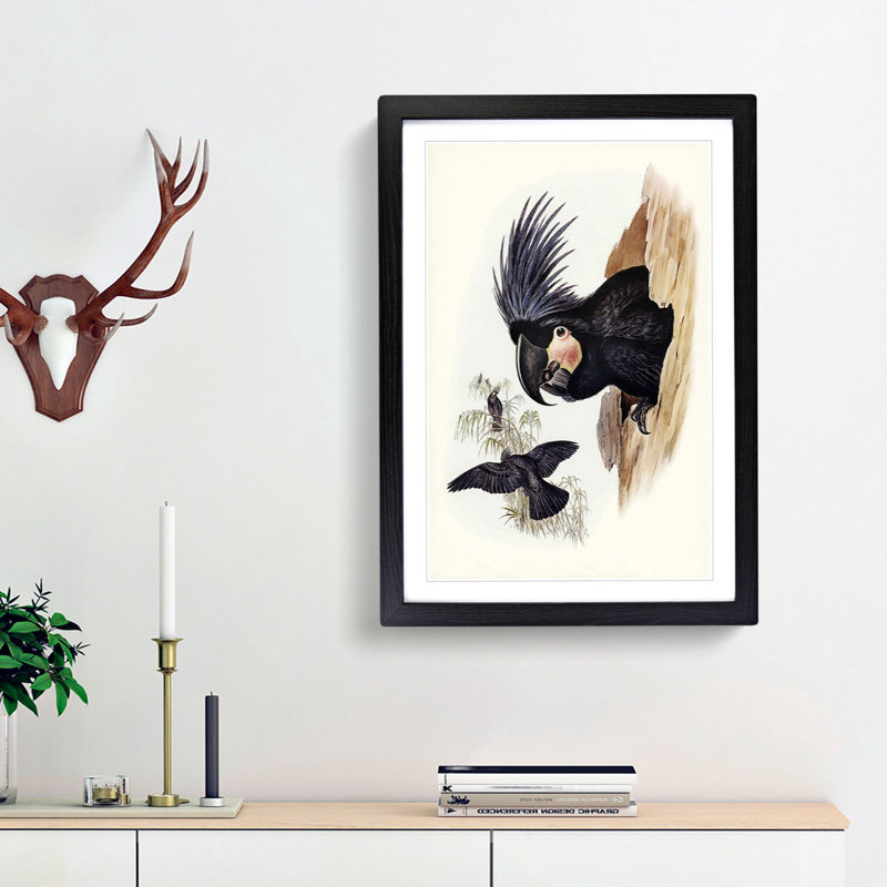 Great Palm-Cockatoos by Elizabeth Gould - Picture Frame Painting Print, 48cm H x 36cm W x 2cm D, Black Framed