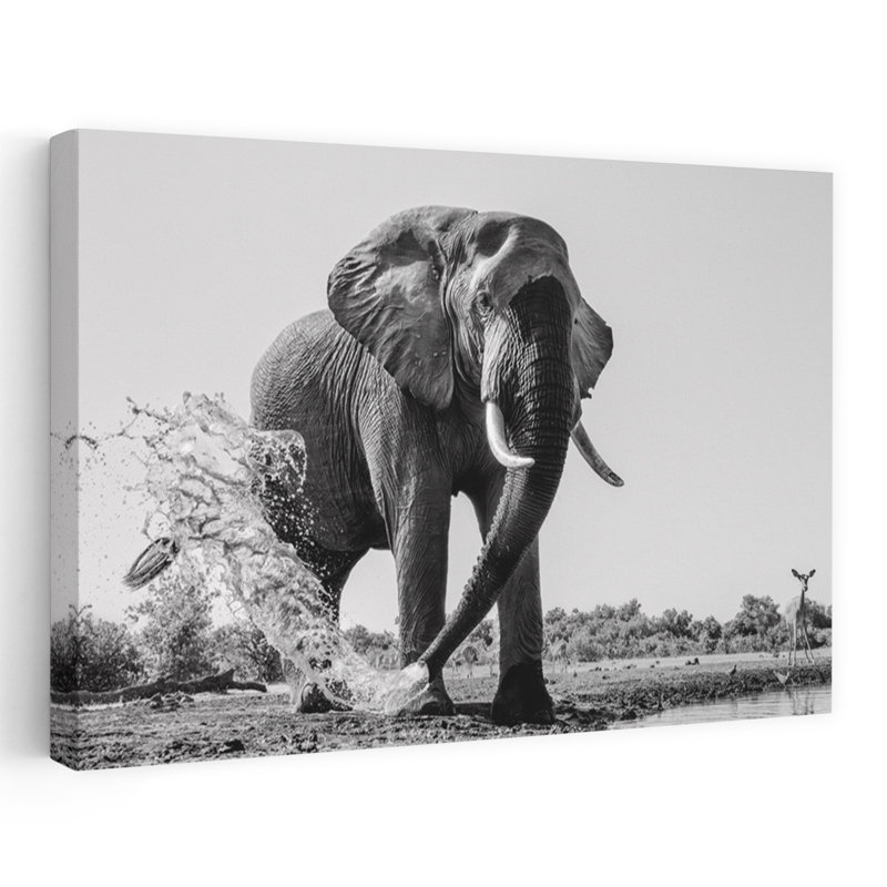 Print, 60.96cm H x 91.44cm W